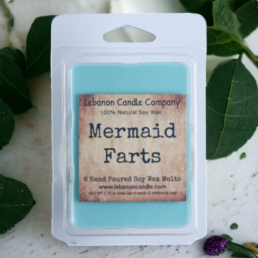 Mermaid Farts Wax Melt