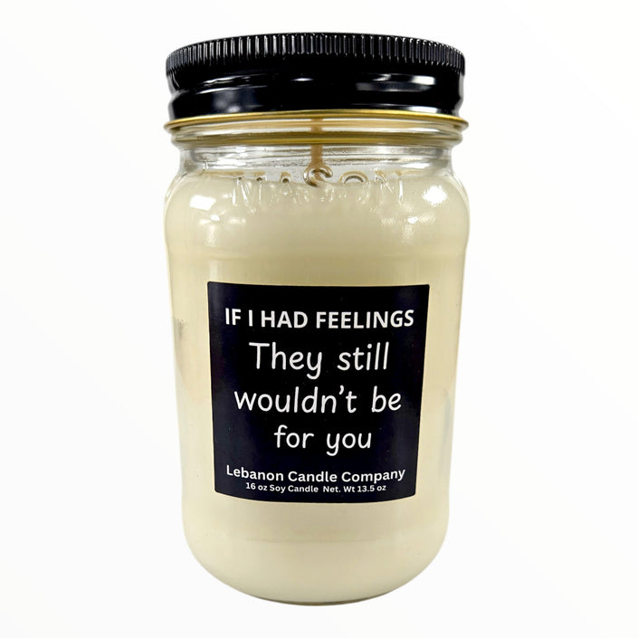 Funny No Feelings For You Candle