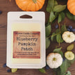 Blueberry Pumpkin Patch Wax Melt