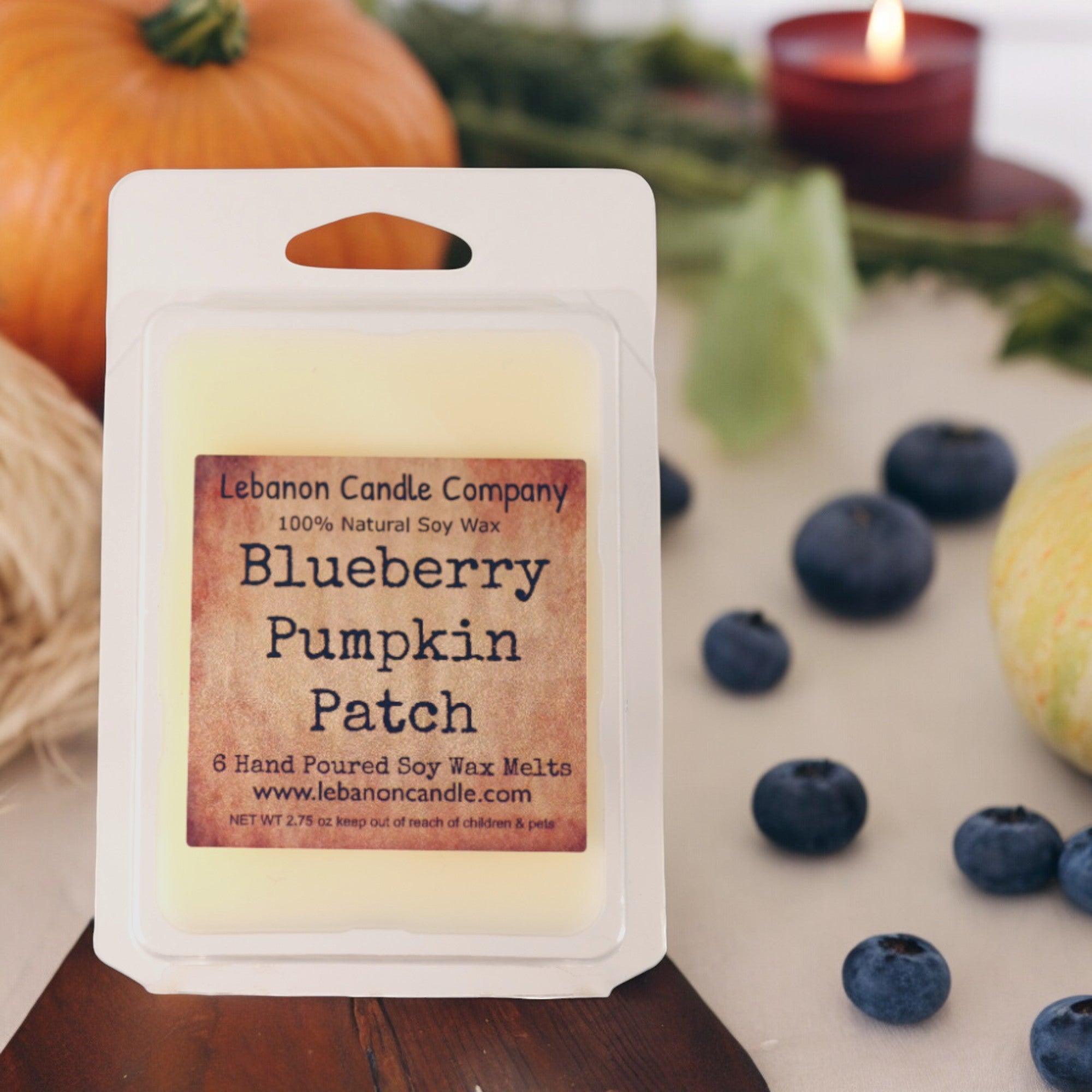 Blueberry Pumpkin Patch Wax Melt