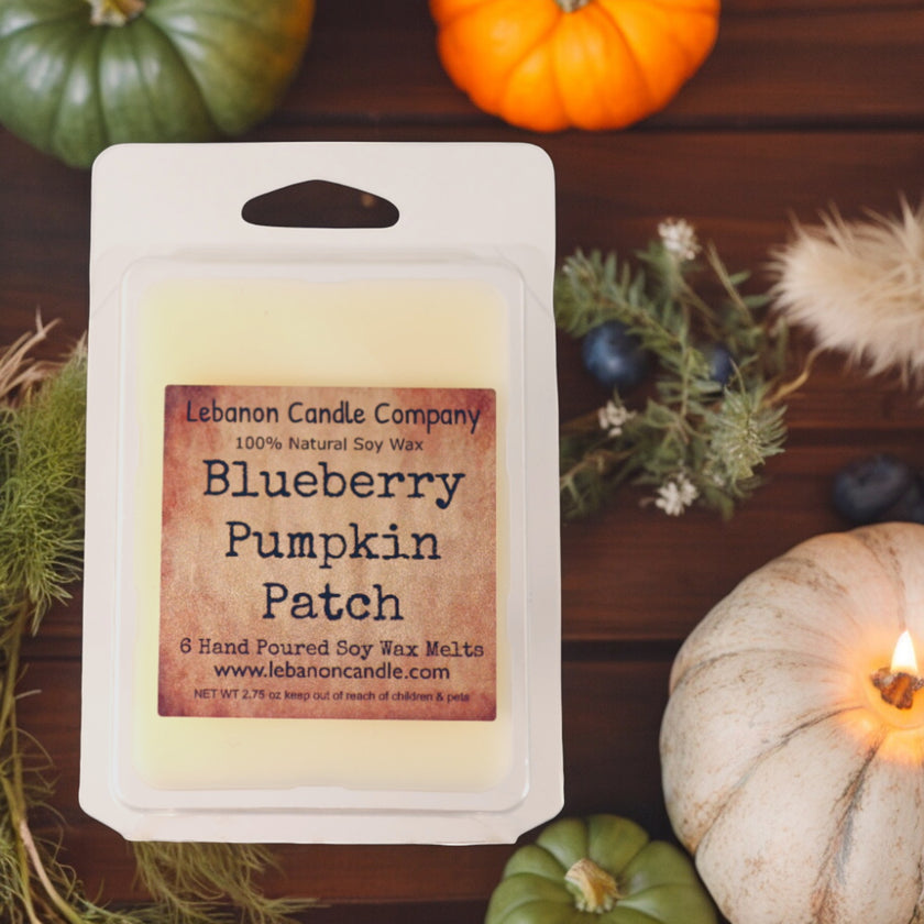 Blueberry Pumpkin Patch Wax Melt