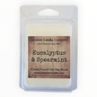 Eucalyptus & Spearmint Wax Melt