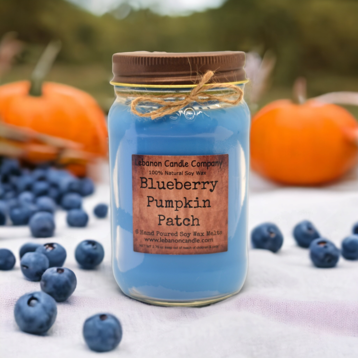 Blueberry Pumpkin Patch Lebanon Candle Company
