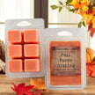 Fall Porch Sitting Wax Melt