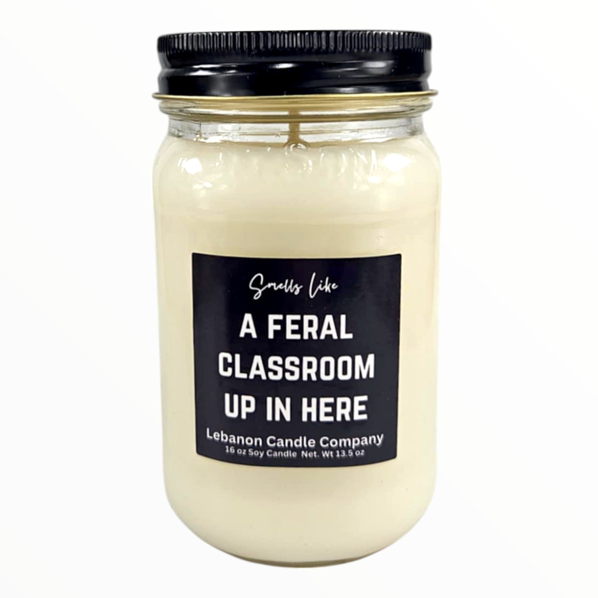 Funny Teacher Feral Classroom Candle