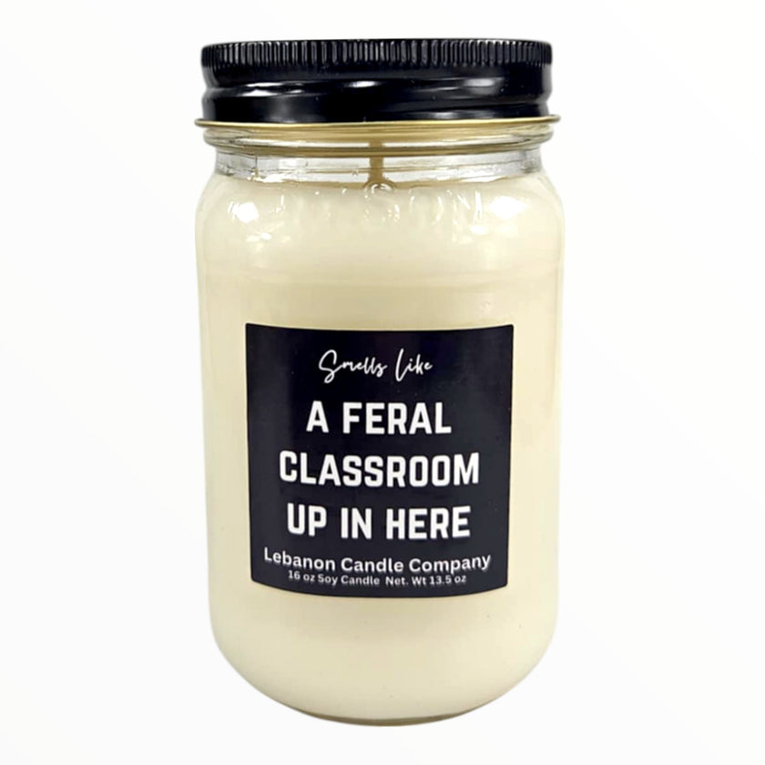 Funny Teacher Feral Classroom Candle