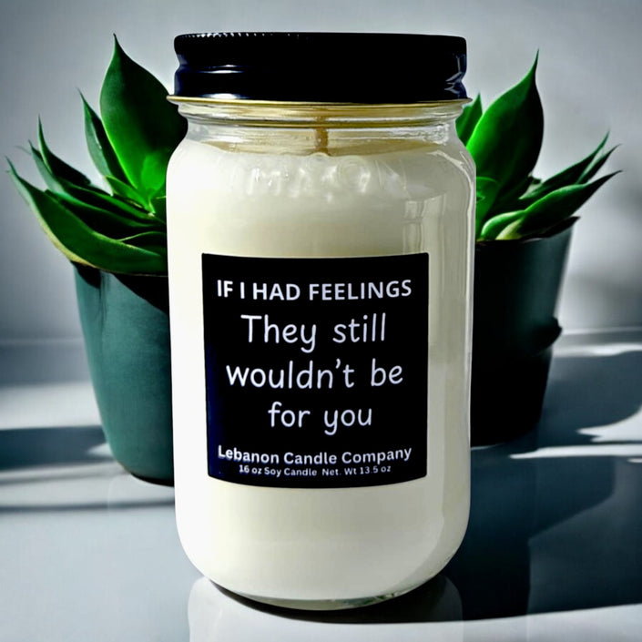 Funny No Feelings For You Candle