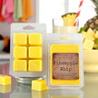 Pineapple Whip Wax Melt