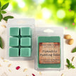 Pistachio Pudding Cake Wax Melt