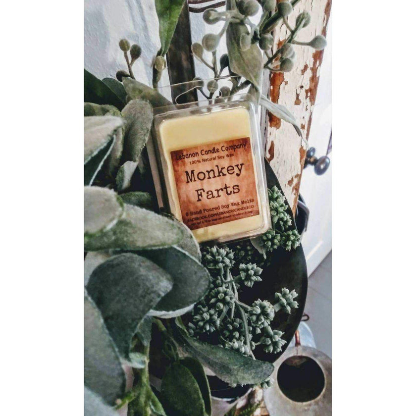 Monkey Farts Wax Melt