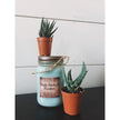 Baja Cactus Flower Candle