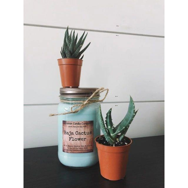 Baja Cactus Flower Candle