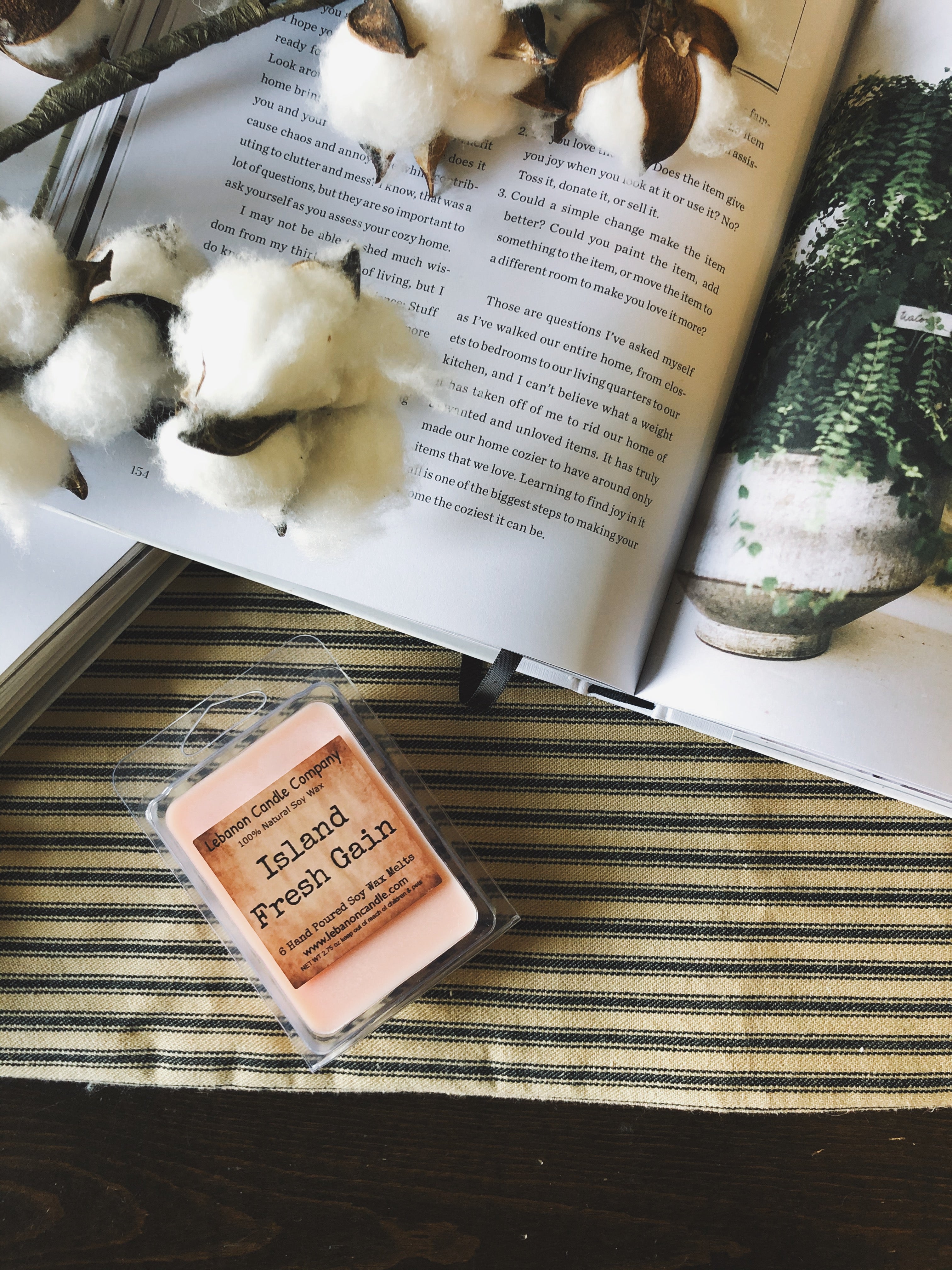 Island Fresh Gain Wax Melt