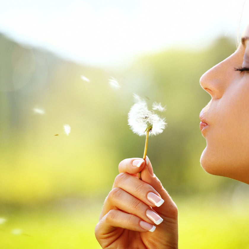 A Thousand Wishes (Type) Fragrance Oil