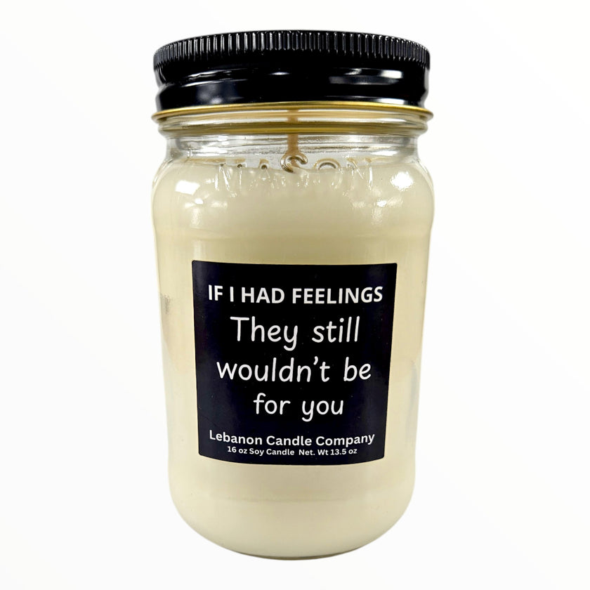 Funny No Feelings For You Candle