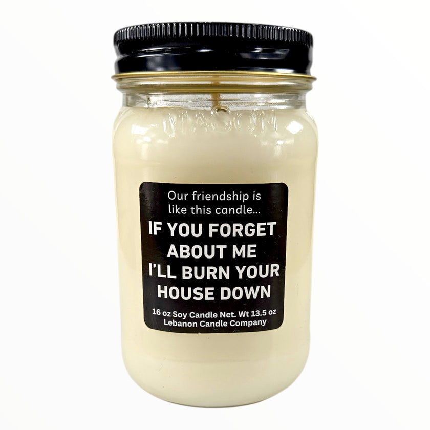 Funny Friendship Burn Your House Down Candle