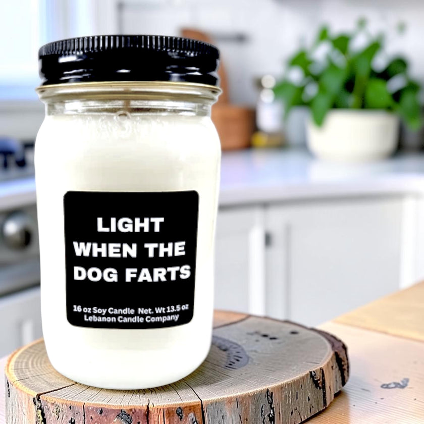 {{product_title}} - Funny Snarky Candle Gift by Lebanon Candle Co