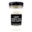 {{product_title}} - Funny Snarky Candle Gift by Lebanon Candle Co