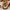 Christmas Cuddles Scented Christmas Dough Bowl Candle