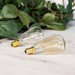 40 Watt Edison Warmer Replacement Bulb Fusion