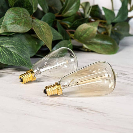40 Watt Edison Warmer Replacement Bulb Fusion
