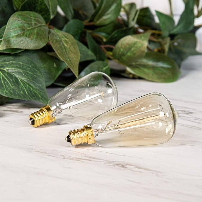 40 Watt Edison Warmer Replacement Bulb Fusion
