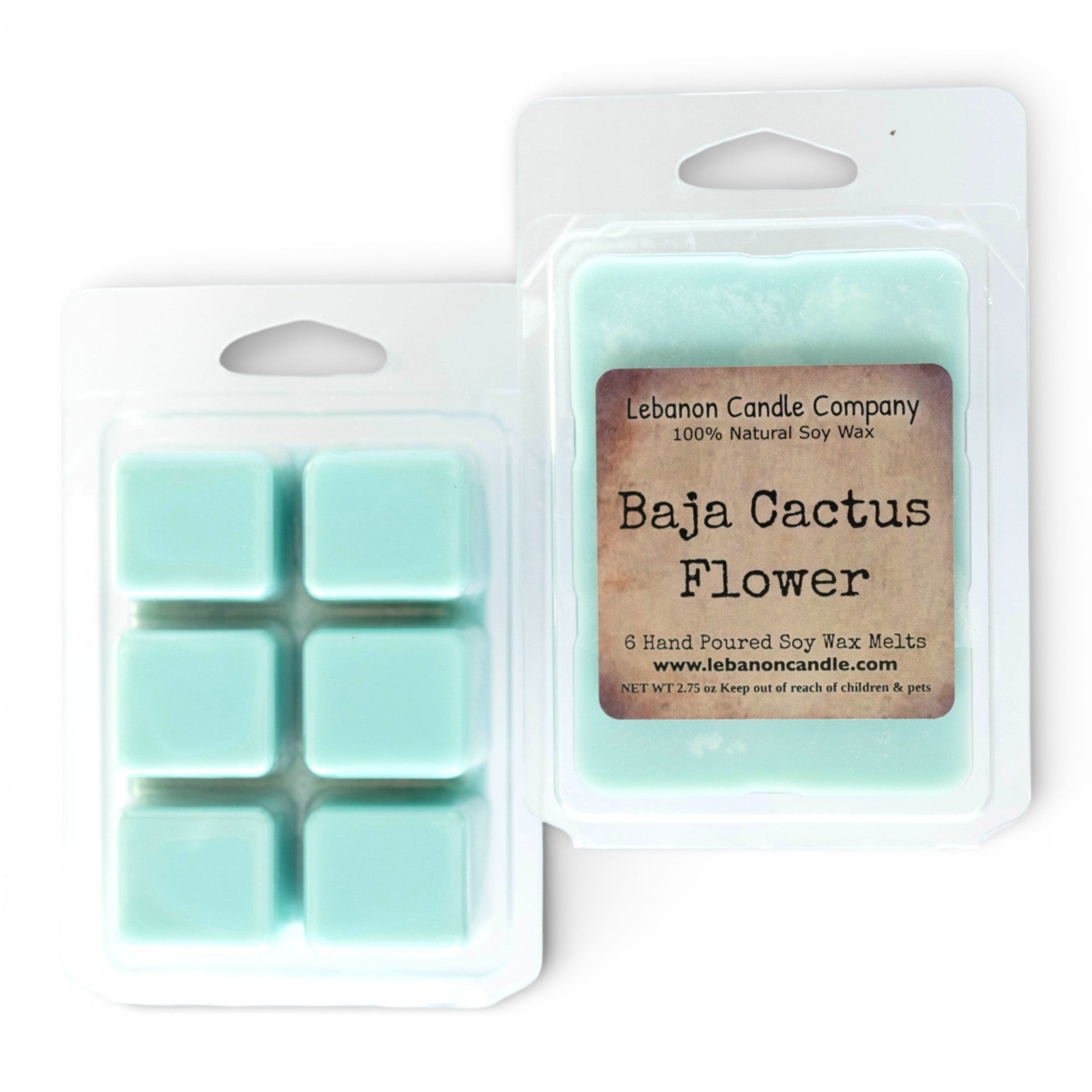 Baja Cactus Flower Wax Melt