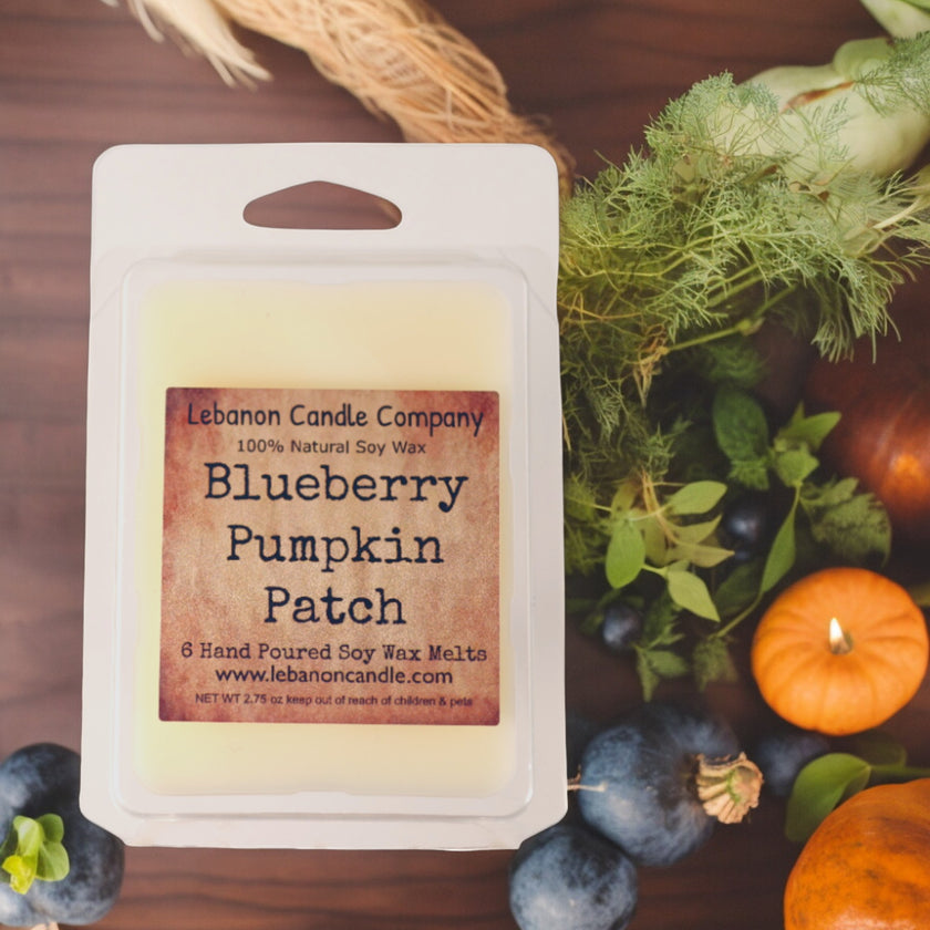 Blueberry Pumpkin Patch Wax Melt