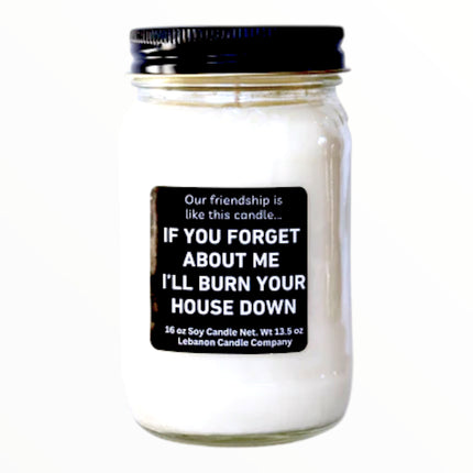 {{product_title}} - Funny Snarky Candle Gift by Lebanon Candle Co