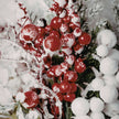Winterberry Wonder (Type)  Fragrance Oil