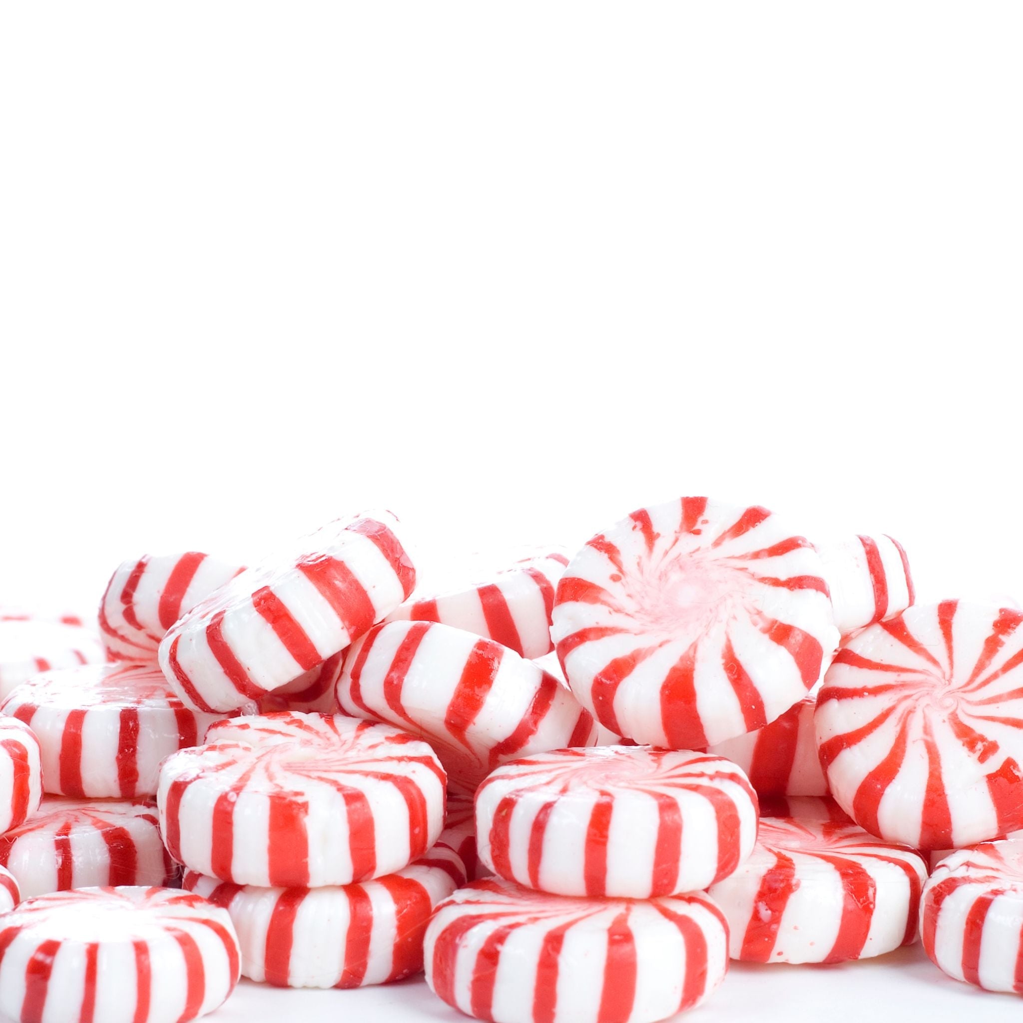 Twisted Peppermint Fragrance Oil