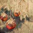 Old World Christmas Fragrance Oil