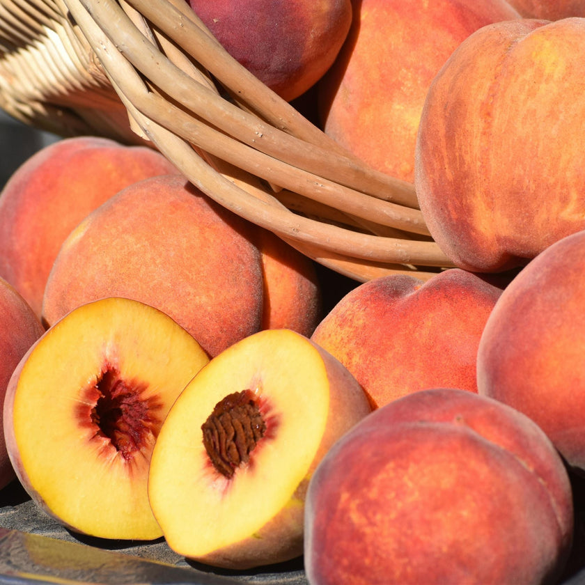 Peach Nectar Fragrance Oil