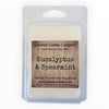 Eucalyptus & Spearmint Wax Melt