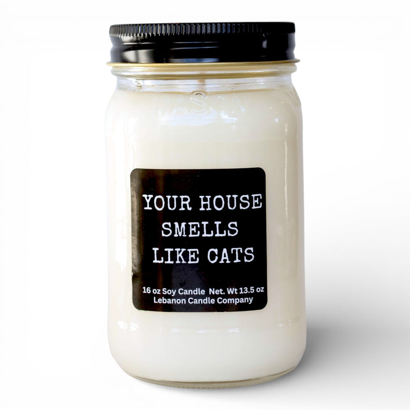 Your House Smells Like Cats Funny Candle