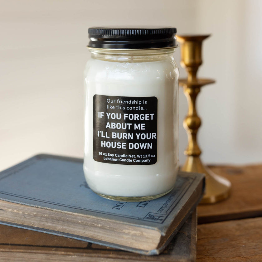 Our Friendship Is Like This Candle Funny Candle