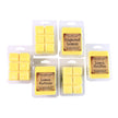 Lemon Lover Wax Melt Set