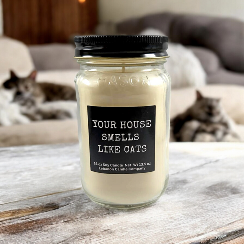 Funny Your House Smells Like Cats Candle
