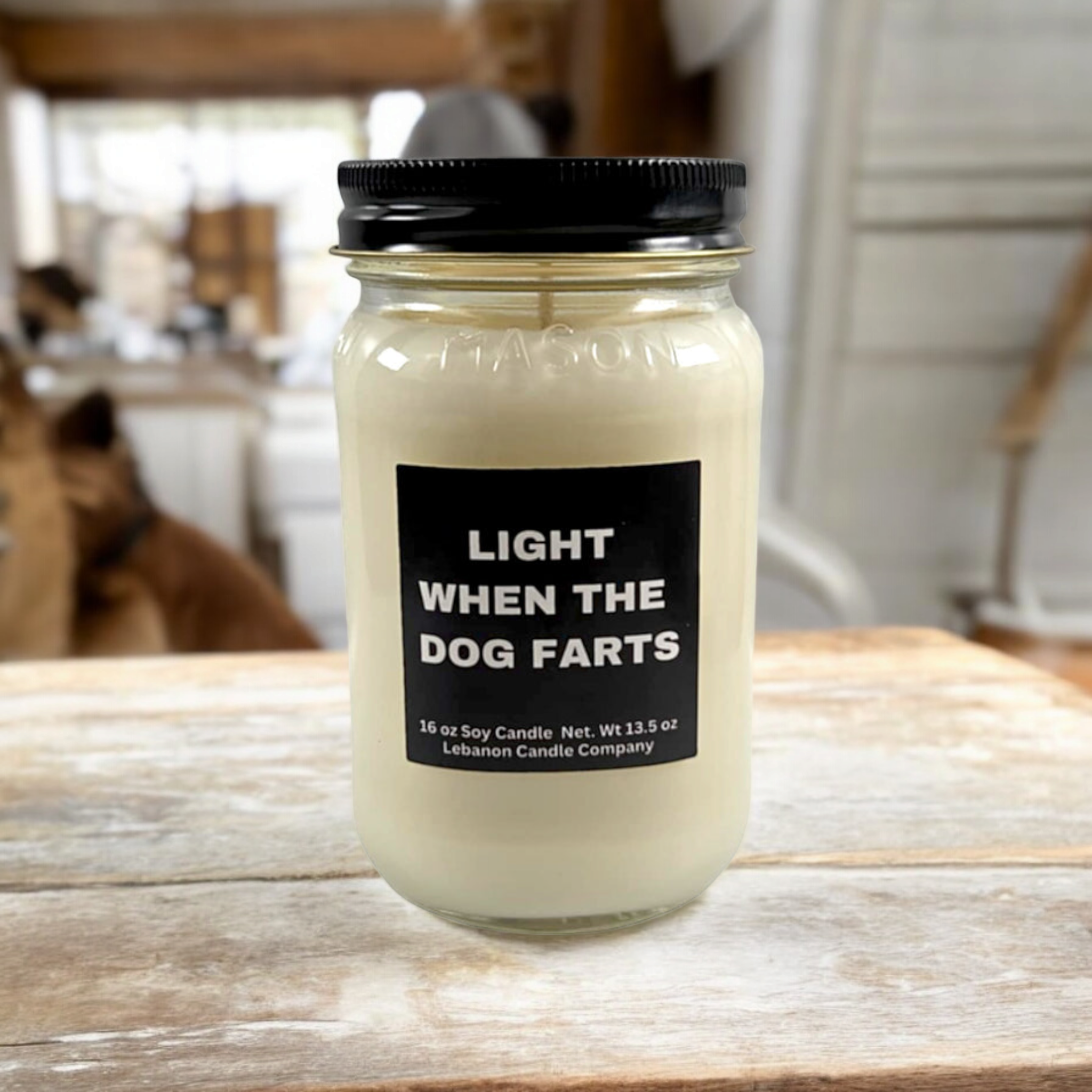 Funny Light When The Dog Farts Candle