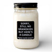 Sorry Still No Grandkids Funny Candle