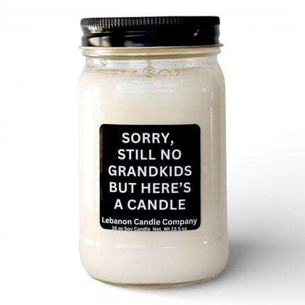 Sorry Still No Grandkids Funny Candle