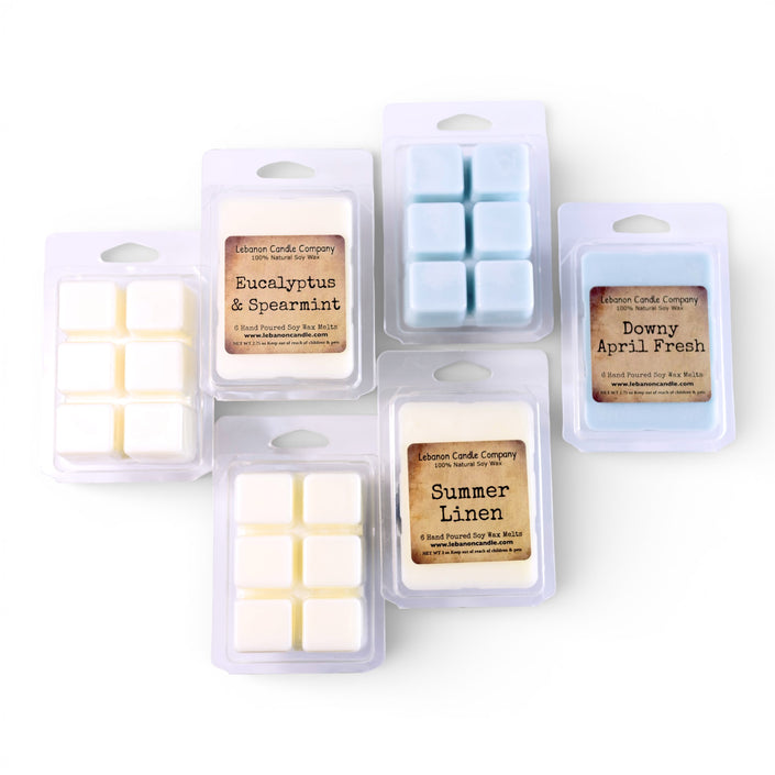 So Fresh & So Clean Wax Melt Set