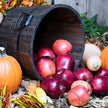 Autumn Apples Fragrance Oil