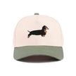 Dachshund Two-Tone Cotton Hat (Dark Forest)