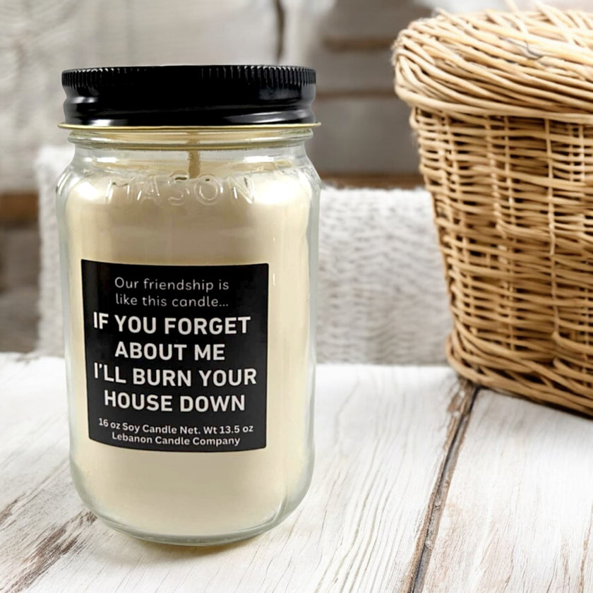 Funny Friendship Burn Your House Down Candle