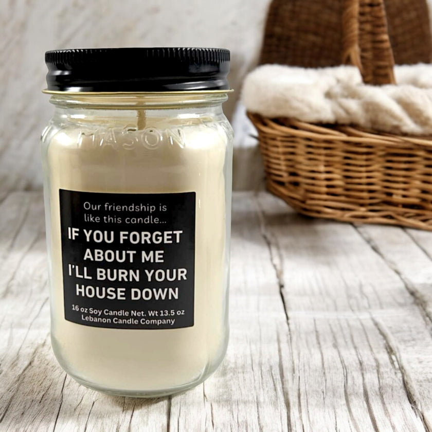 Funny Friendship Burn Your House Down Candle