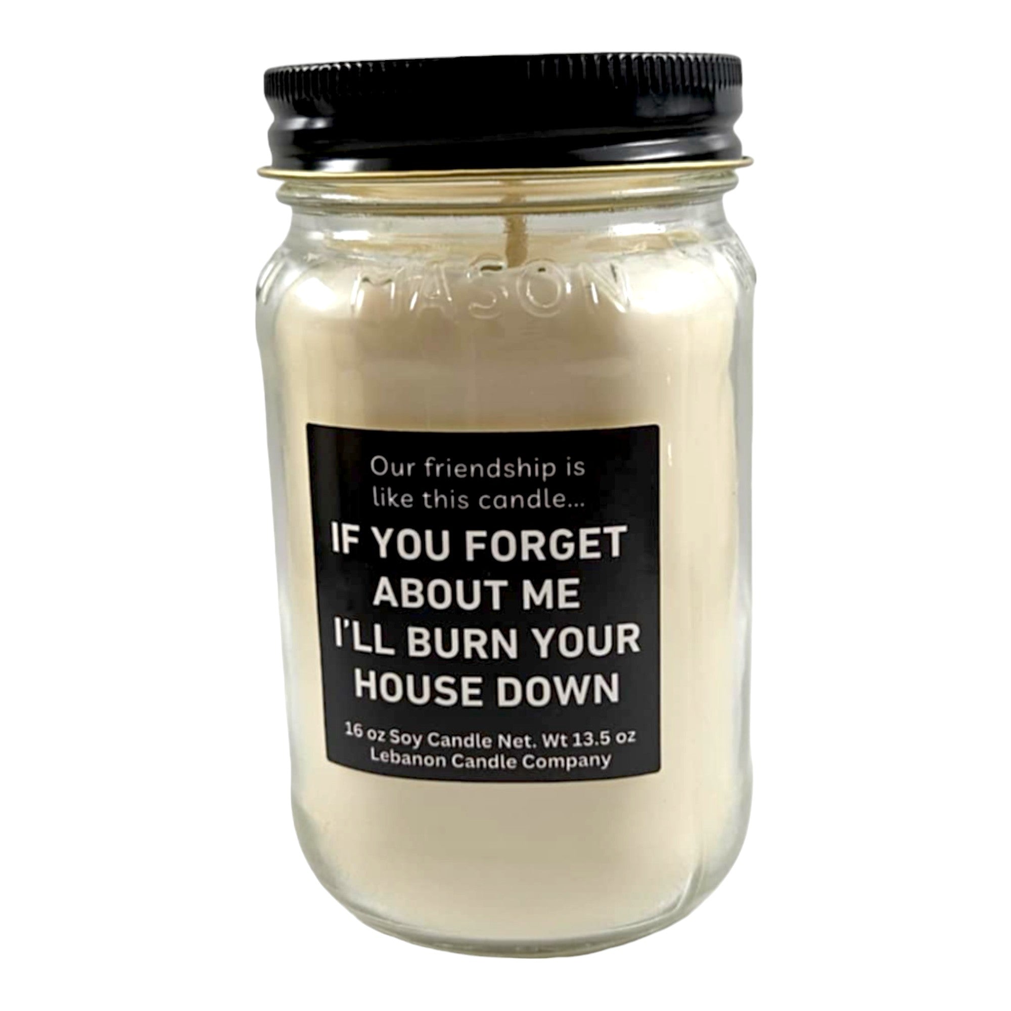 Funny Friendship Burn Your House Down Candle