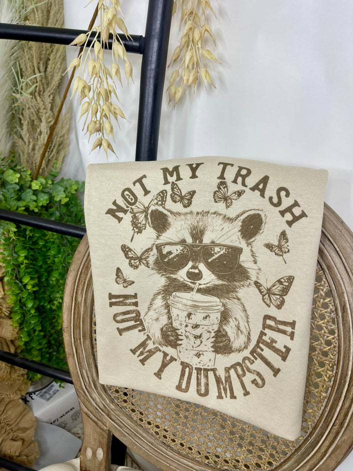 Not My Trash Not My Dumpster