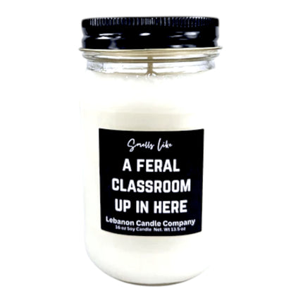 {{product_title}} - Funny Snarky Candle Gift by Lebanon Candle Co