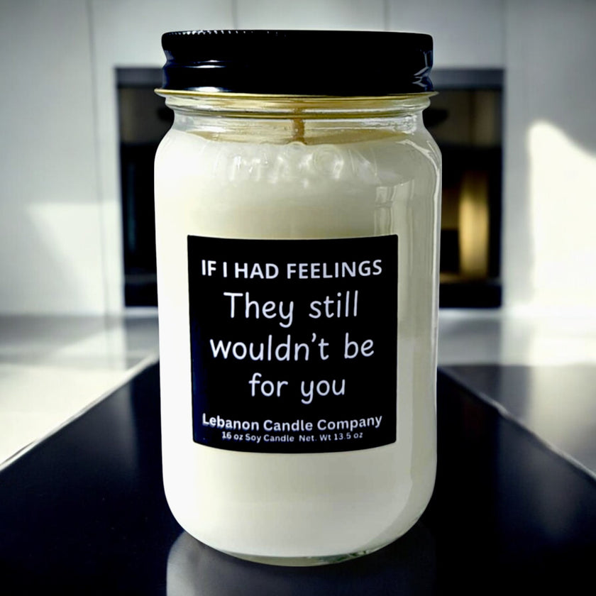 Funny No Feelings For You Candle